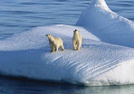 Global Warming Project